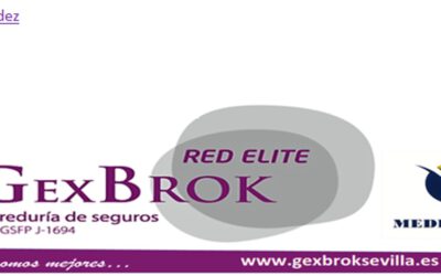 GexBrok