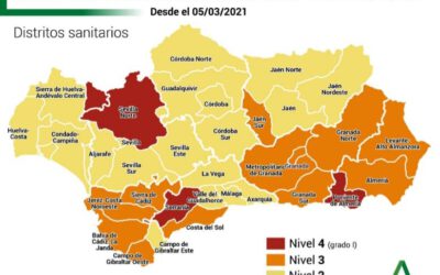 Nuevos niveles de alerta COVID 19