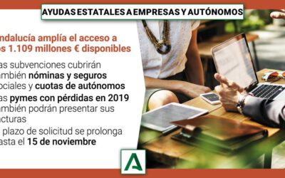 Modificación de las ayudas a la solvencia empresarial y ampliación del plazo de presentación