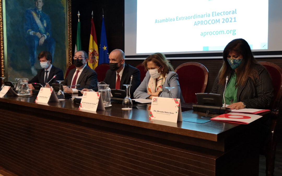 Hoy 15 de marzo Tomás González ha sido reelegido presidente de Aprocom, la patronal del comercio de Sevilla y Provincia.