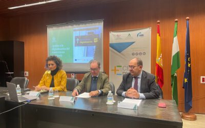 La Junta anuncia al comercio sevillano una segunda convocatoria de ayudas para la promoción y digitalización