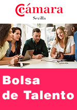 Bolsa de talento de la Cámara
