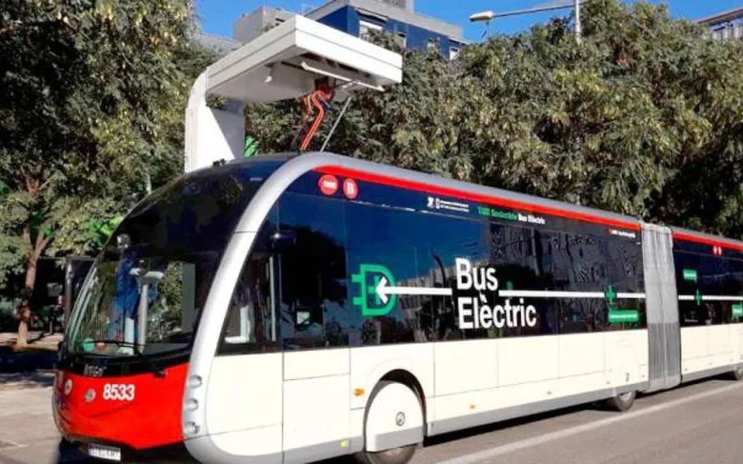 Obras tranvibus en el centro